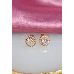Aretes broquel circulo zirconia alrededor #166B