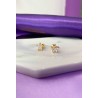 Aretes Estrella Zirconia #147