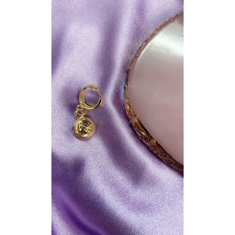 Arete plato de perro #Y12 (1 pieza)